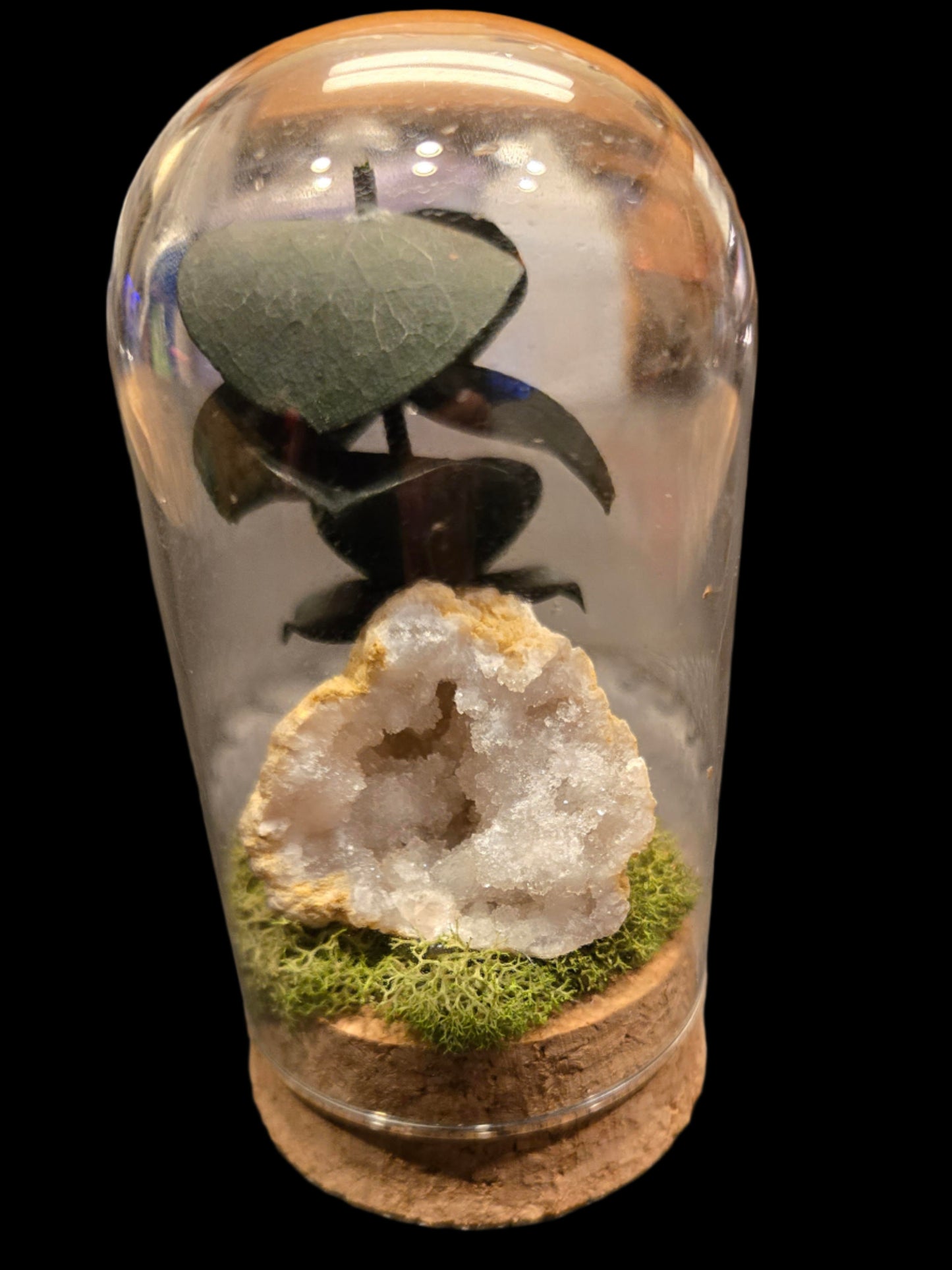 Natural White Geode Display