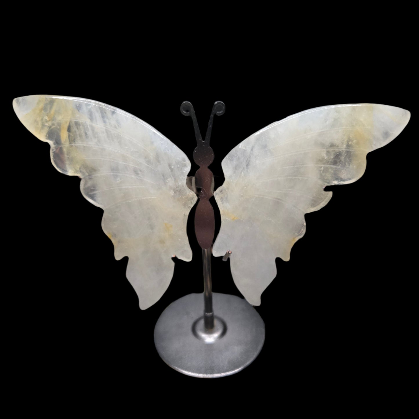 Golden healer Quartz Butterfly wings.