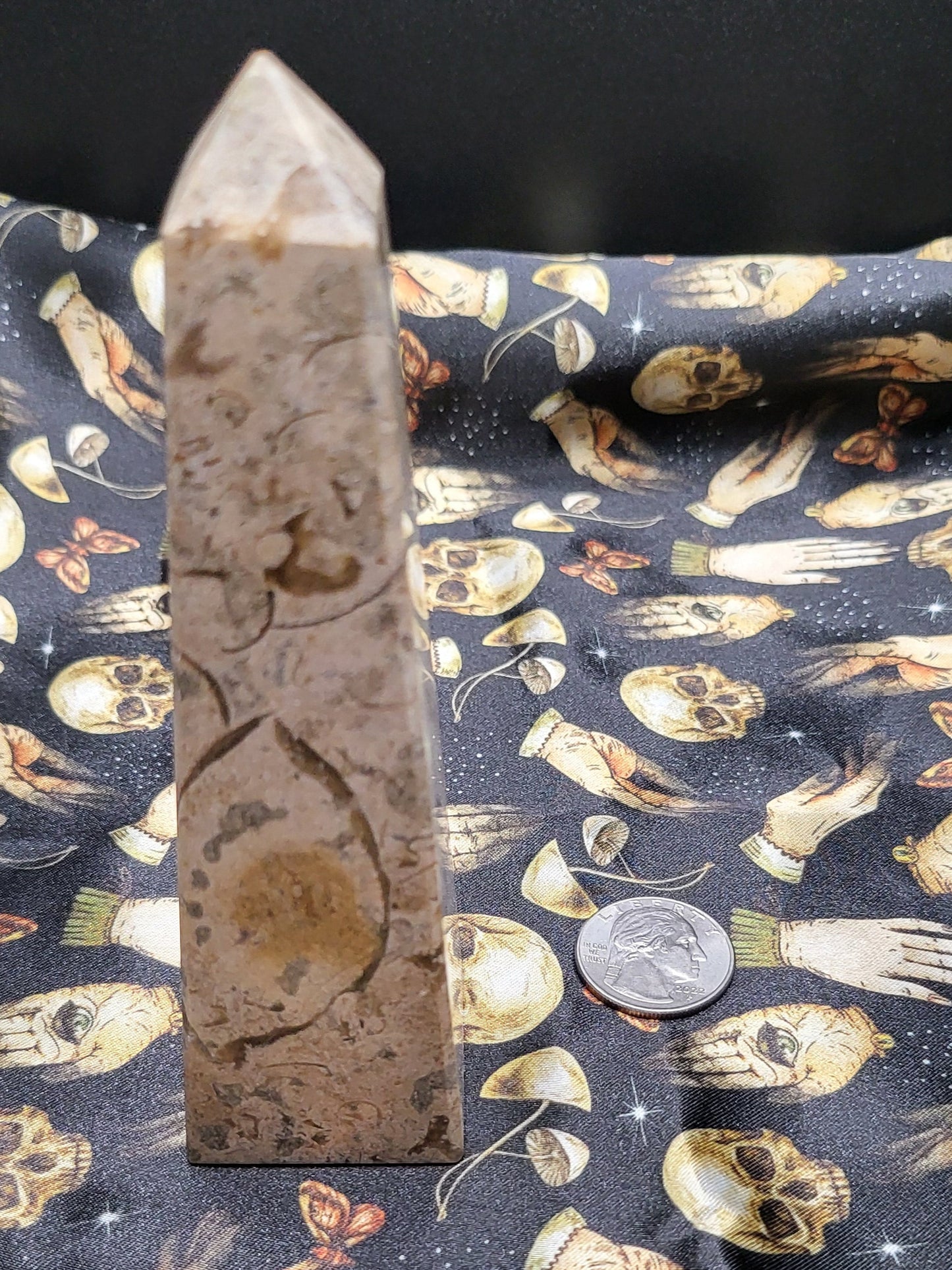 Polished Fossil Stone Tower