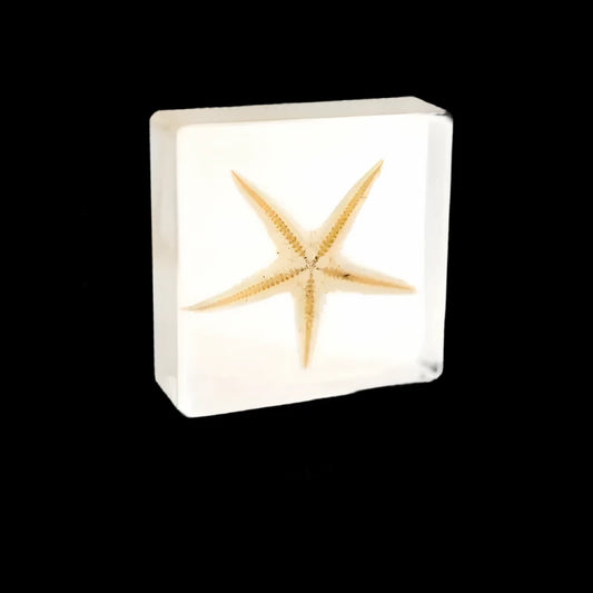 Mini Starfish in Resin