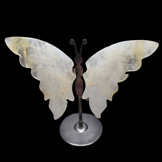 Golden healer Quartz Butterfly wings.