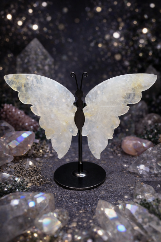 Decorative butterfly on a stand with a sparkling background